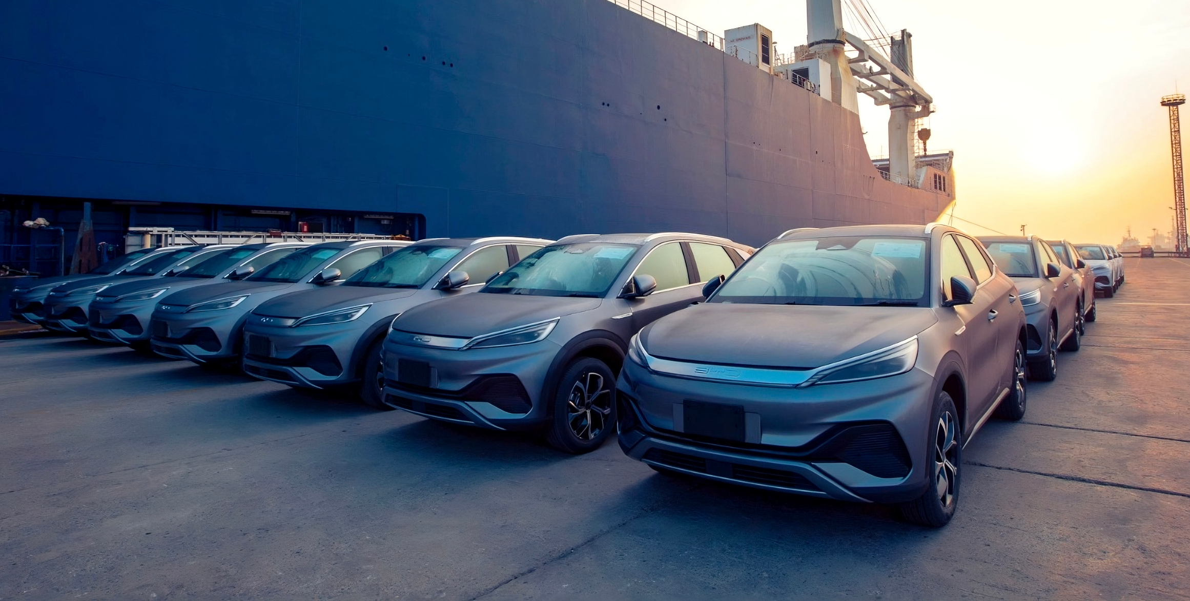 BYDs at port cropped