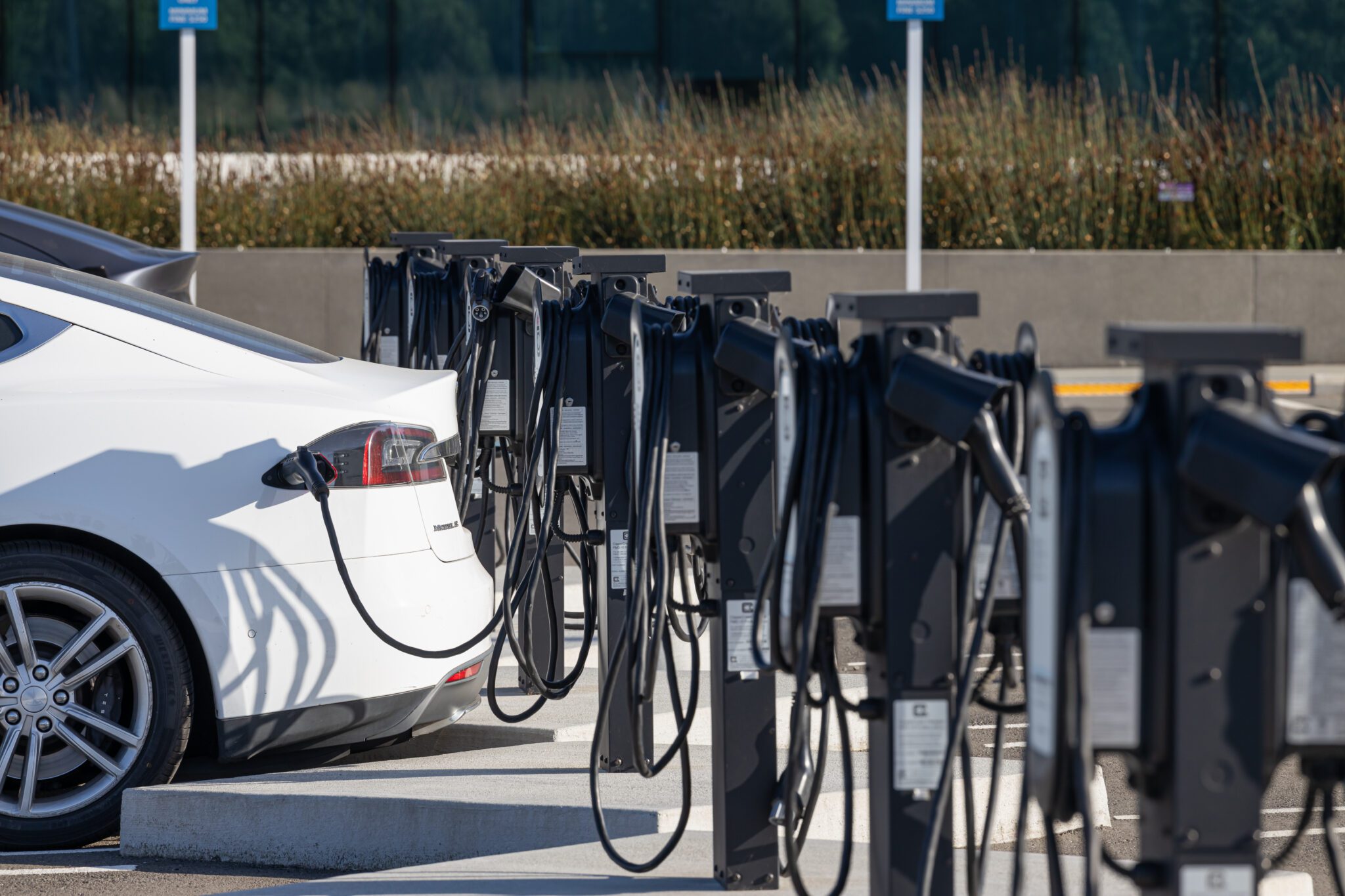 California EV programme requires OEMs to match the state