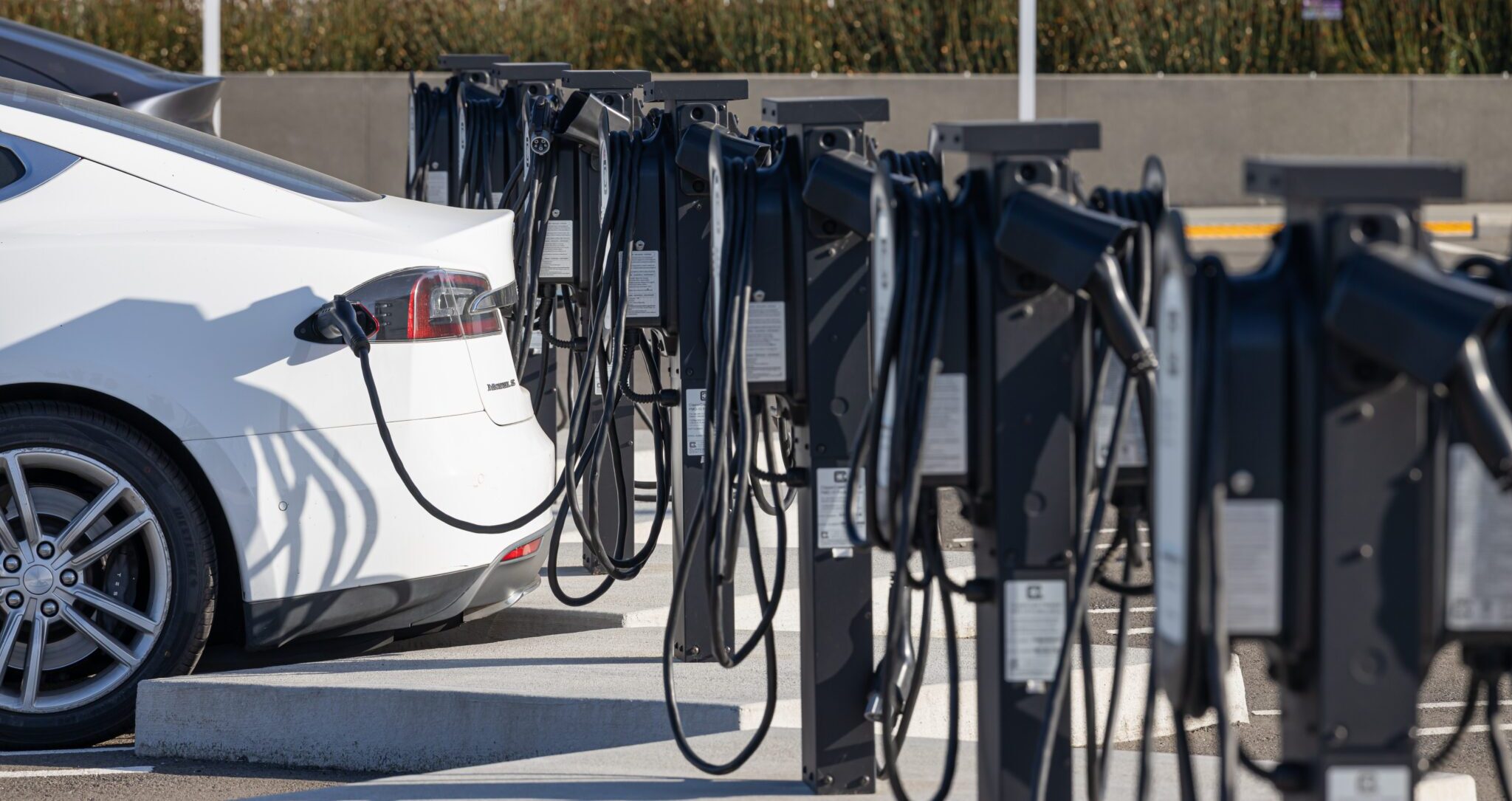 California hit 2.5m ZEV sales in 2025, despite federal cuts