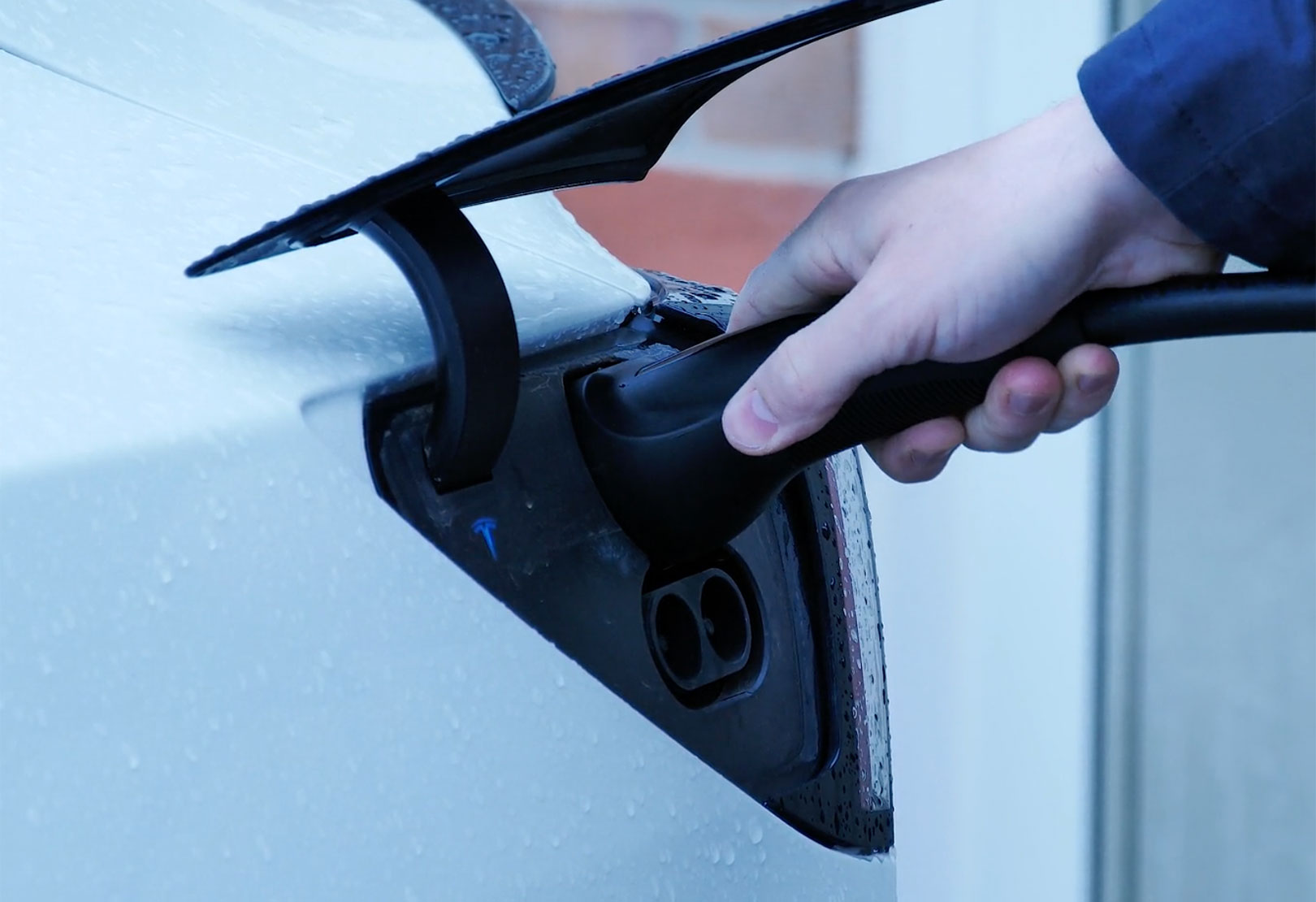 Octopus EV names most popular electric cars of 2025